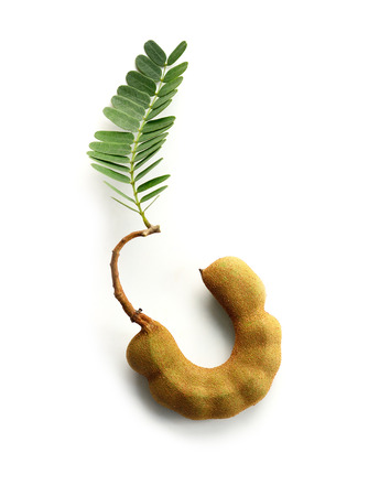Tamarind with leaf isolated on white backgroundの写真素材