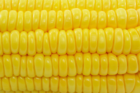 Corn isolated on white background