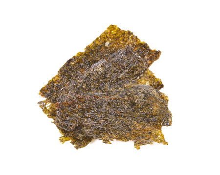 seaweed on white backgroundの写真素材