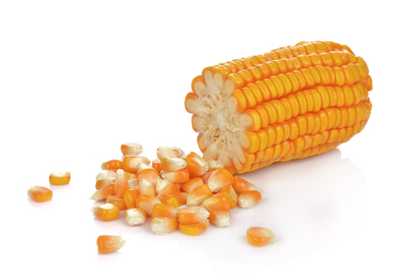 Dried corn kernels isolated on whiteの写真素材