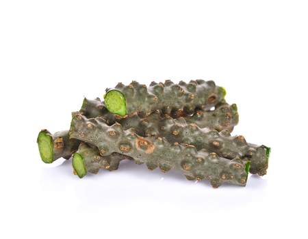 Tinospora cordifolia herb isolated on white background.の写真素材