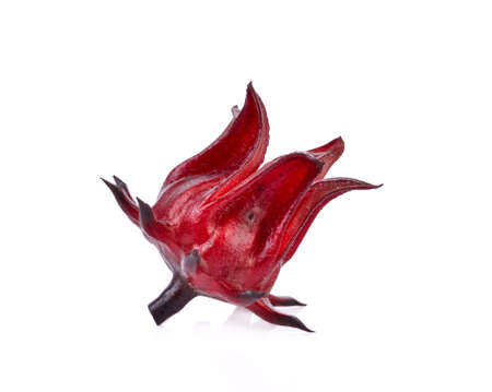Roselle fruits, isolated on white backgroundの写真素材