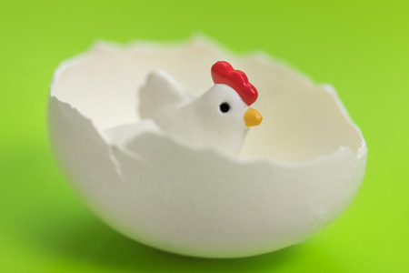 Little toy chicken in the eggshell on a green backgroundの写真素材