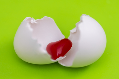 Small red heart hatched from a white egg on a green backgroundの写真素材