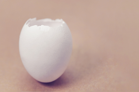 White eggshell on a brown backgroundの写真素材