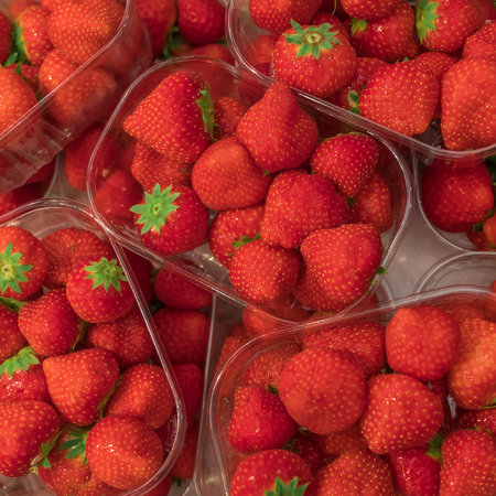 Juicy ripe red strawberry in plastic containers, top view, background, textureの写真素材