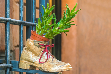 Flower pot in a boot hanging on a fenceの写真素材