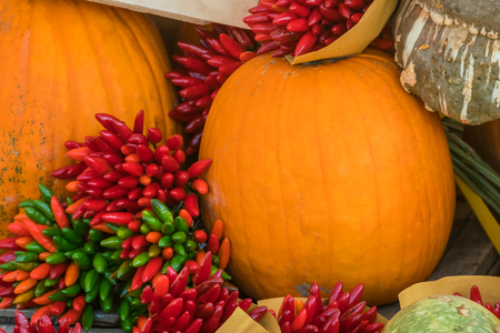 Orange pumpkins and red peppersの写真素材