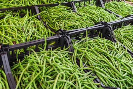 Green pea pods in containers on the counter