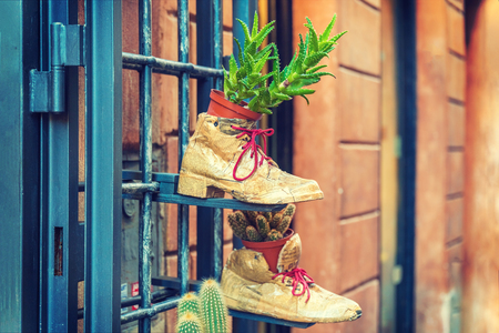 Flower pot in a shoe wrapped in a newspaper hanging on a fenceの写真素材