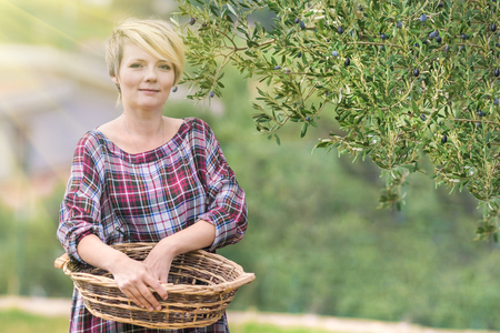 Beautiful young blonde woman in a checkered dress with a wicker basket in an olive garden on a sunny dayの写真素材