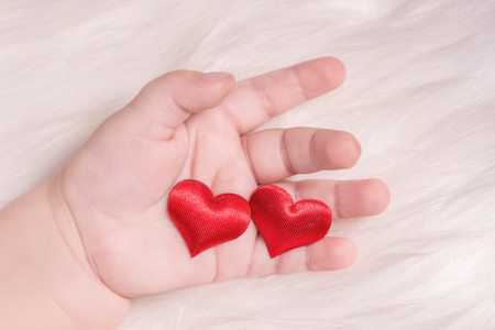 Red heart in the hand of a baby on white fur backgroundの写真素材