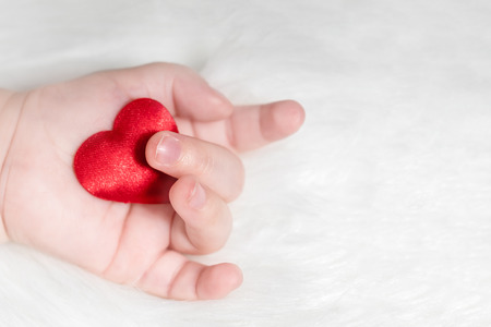 Red heart in the hand of a baby on white fur backgroundの写真素材