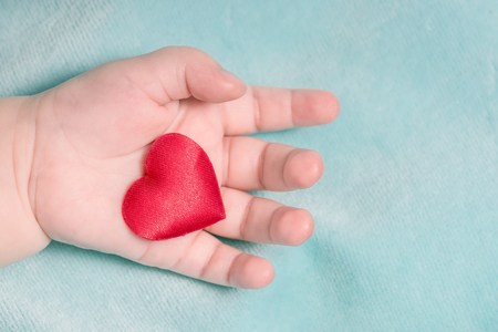 Red heart in the hand of a baby on a blue backgroundの写真素材