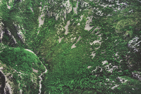Top view of a green forest in the mountainsの写真素材