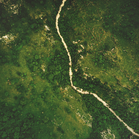 Top view of the river in the mountains surrounded by a green forestの写真素材