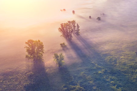 Top view of the fog over the field with trees in the sunshineの写真素材