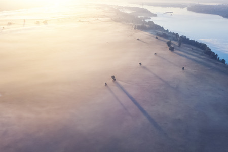 Field and river covered with fog, top viewの写真素材