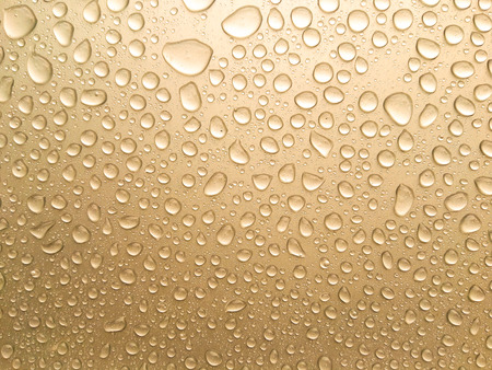 Colorful and beauty of the rain drops.