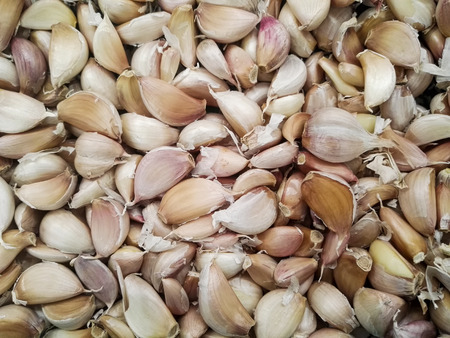 Group of garlics in the supermarket.の写真素材