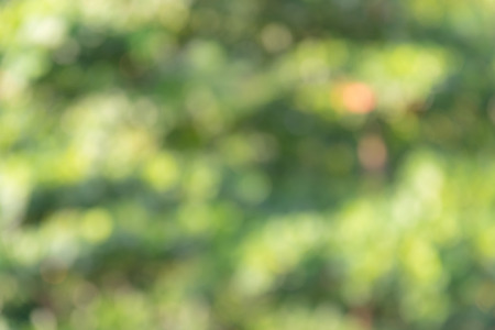 Abstract unfocus nature background bokeh.の写真素材