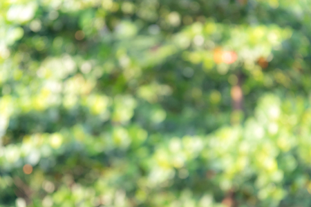Abstract unfocus nature background bokeh.の写真素材