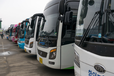 Gangwon-do,Korea-January 2,2016: Buses bring tourists to the Naminara republic island.のeditorial素材