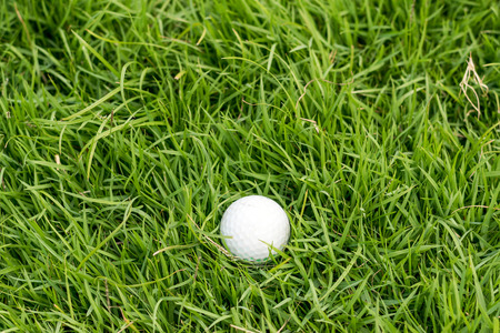 Golf ball on green grass in golf course.の写真素材