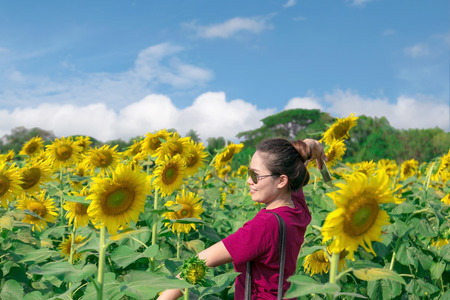Asian woman wearing sunglasses standing poses in the middle of sunflower fields.の写真素材