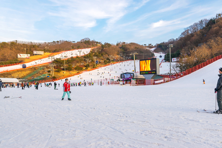 Soul,Korea-Jan 4,2016: Skier both Koreans and foreigners to come skiing at Vivaldi Park Ski Resort on vacation in the winter every year.のeditorial素材