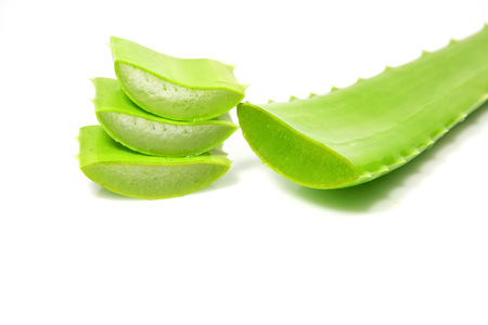 Closeup Aloe Vera leaves isolated on white background.の写真素材