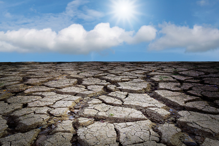 Closeup the cracked earth with the sunlight and a blue sky background.の写真素材