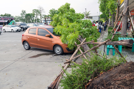 Nakhorn Ratchasima-Thailand,May 8,2016:Heavy rain and gale force winds caused a tree fell on the car of the people using the service in a gas station was damaged.のeditorial素材