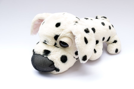 Cute  plush dog isolated on white background.の写真素材