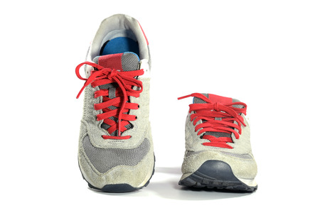 Colorful running and fashion sneaker shoes isolated on white background.の写真素材