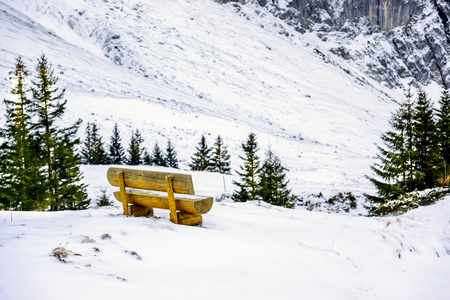 Closeup the wooden chair on the lookout at the peak of the Alps mountains in winter ,Grindelwald Switzerland.の写真素材