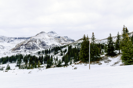 The view point of the Alps Mountains in winter ,Grindelwald Switzerland.の写真素材