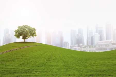 A single tree on a hill on the arches of verdant meadows and the beautiful backdrop of the skyscrapers.の写真素材