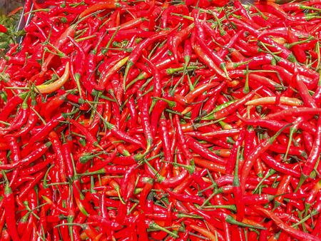 Closeup a pile of fresh chilli in a supermarket.の写真素材
