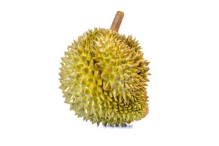 Monthong Durian is the most widely exported fruit in Thailand, isolated on white background.の写真素材