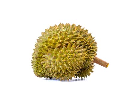 Monthong Durian is the most widely exported fruit in Thailand, isolated on white background.の写真素材