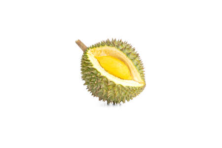 The ripe durian is ready to eat isolated on white background.の写真素材