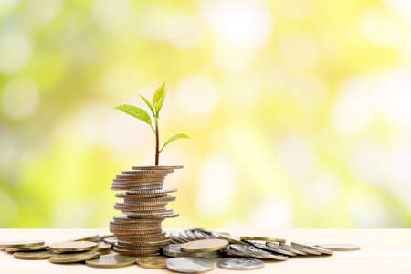 Stack of coins with a small tree at the top, used for business ideas and financial growth.の写真素材