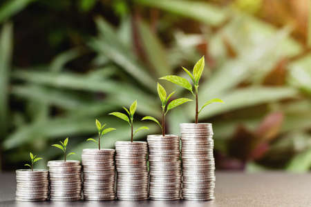 Stack of coins with a small tree at the top arranged in a graph. used for business ideas and financial growth.の写真素材