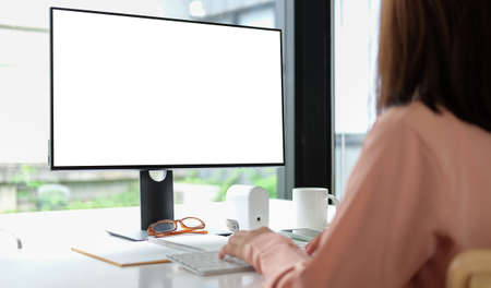 Rear view of businesswoman working with computer in modern office.