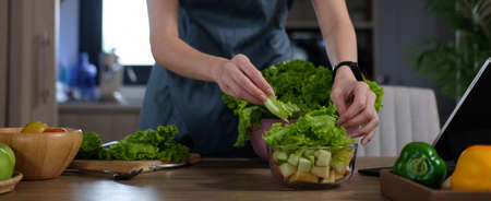 Cropped shot young woman preparing healthy vegan salad with fresh vegetables in the kitchen.