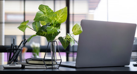 Laptop computer, supplies and potted plant on wooden office.