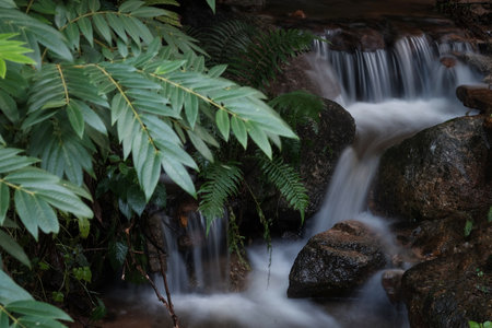 Scenic cascading stream at the foot of the waterfall natural beauty.