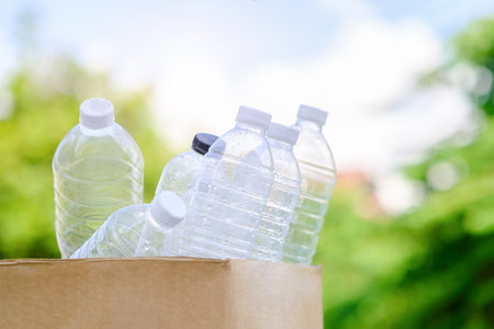 Plastic bottles in carton box for recycling. Waste sorting, ecology and environmental protection...