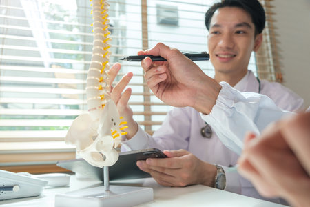 Orthopedists pointing at spine model  talking about patients diagnosis at medical office.の写真素材